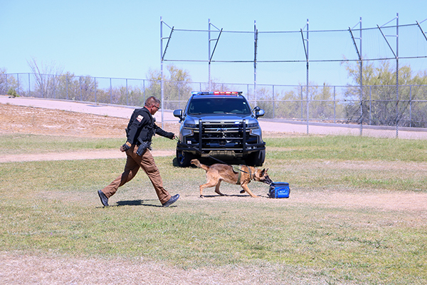 A man walks with a German Shepherd on a leash as the dog sniffs a cooler bag
