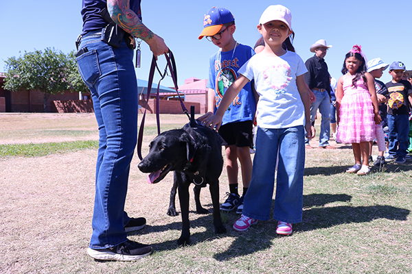A woman holds a black lab on a leash as students pet the dog